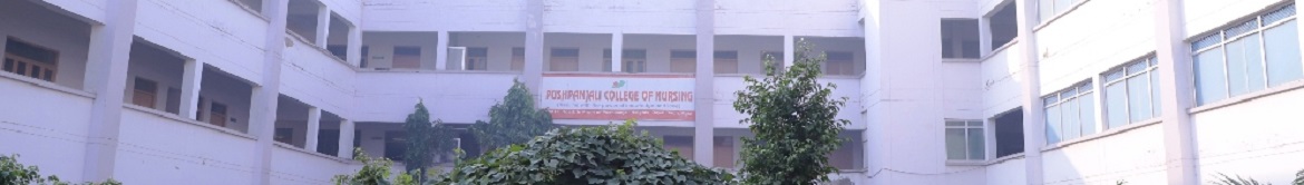 Pushpanjali College of Nursing