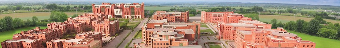 Amity University, Noida