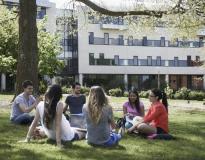 Deakin University Others(14)
