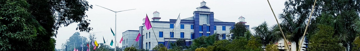 Manipur Institute of Management Studies, Manipur University