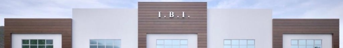 I Business Institute