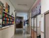 CIS Foundation Others(1)
