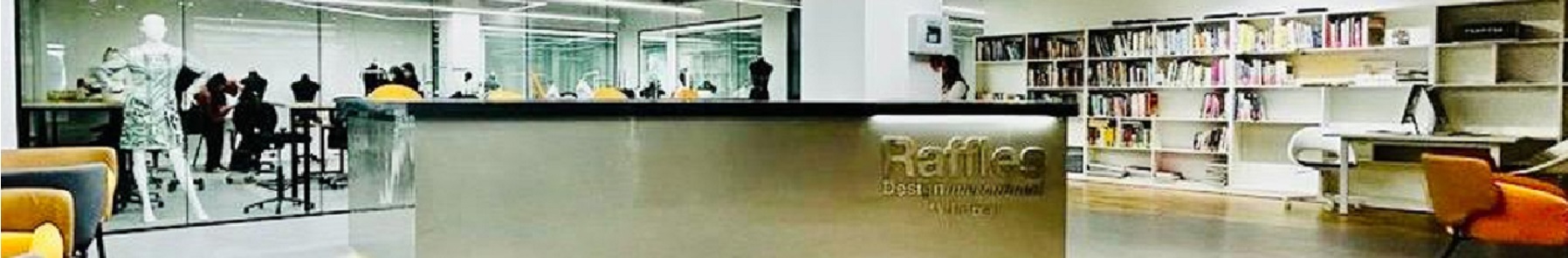 Raffles Design International