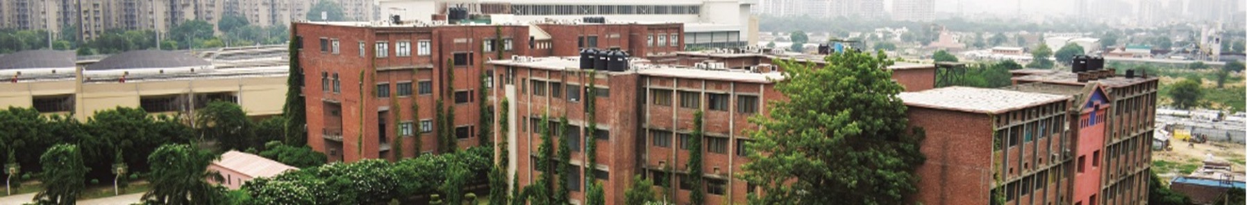 IILM University