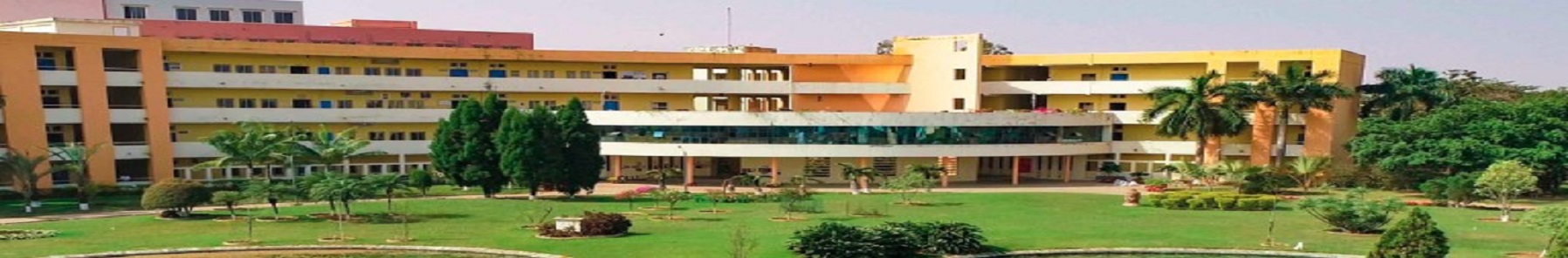 C. V. Raman Global University