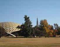 ORU Others(6)
