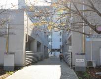 Tokyo Tech Campus View(2)