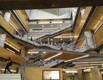 Florida State University Others(5)