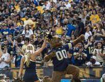 University of Pittsburgh Indoor Sports Block(1)