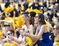 University of Pittsburgh Indoor Sports Block(2)