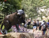 University of Pittsburgh Others(2)