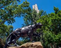 University of Pittsburgh Others(6)