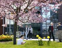 Karlstad University Others(5)