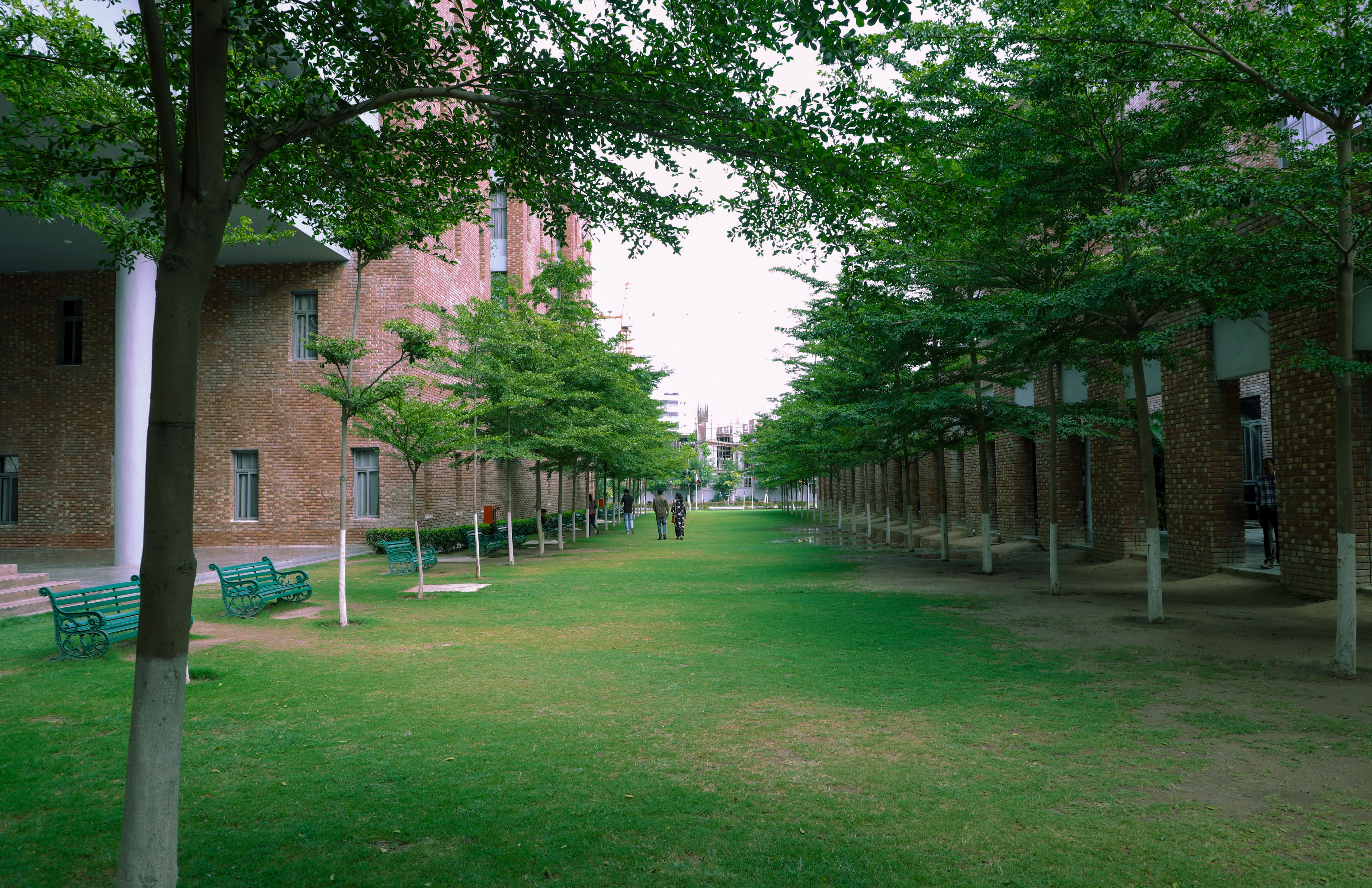 Campus View
