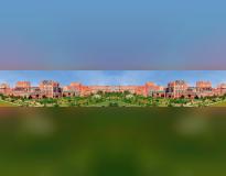 Sharda University Others(2)