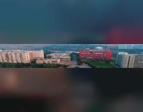 DY Patil University Pune Others(1)