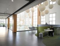 RIT Dubai Others(1)