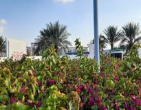 Emirates Aviation University Others