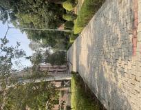 PGIMS Rohtak Campus View(2)