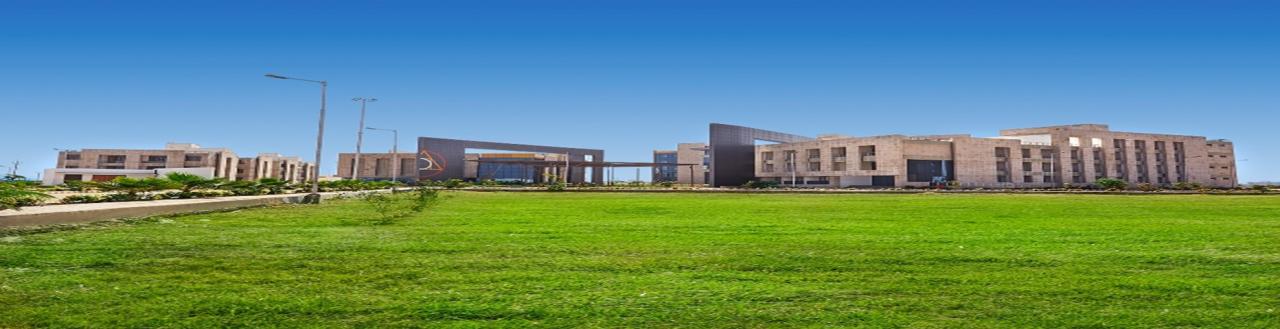 Footwear Design and Development Institute, Ankleshwar