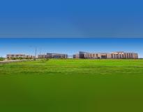 Footwear Design and Development Institute, Ankleshwar Others(1)