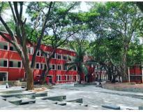 UVCE Bangalore Campus View(1)
