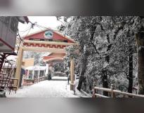 HPU Shimla Entrance