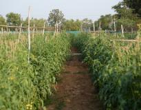 Vignana Jyothi Institute of Management Others(3)