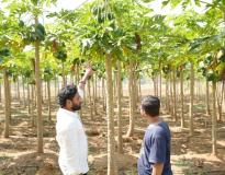 Vignana Jyothi Institute of Management Others(8)