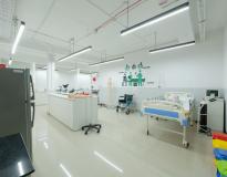 IIM Sirmaur Powered by Emversity Others(3)