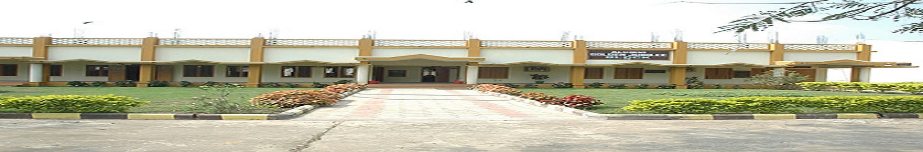 Sri YN College