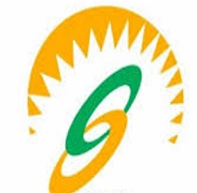 Synetic Business School Logo