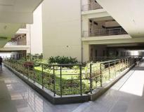 Symbiosis University of Applied Sciences Campus View(1)