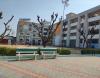 Poornima College of Engineering Campus Building(3)
