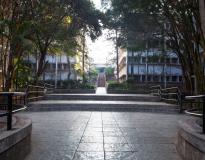 SCOE Campus View(2)
