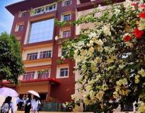 Assam Downtown University (ADTU) Campus Building(23)