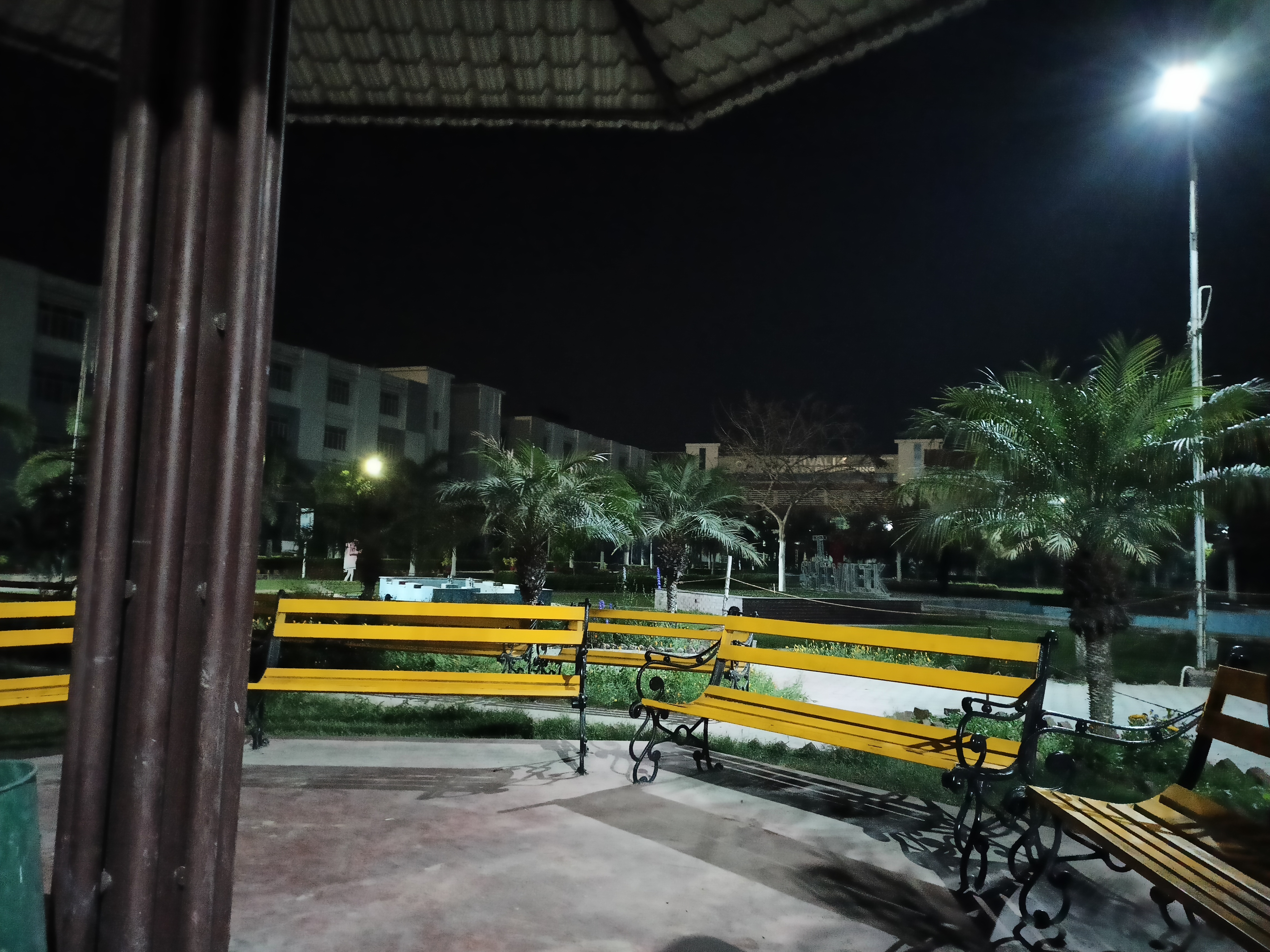 Night View