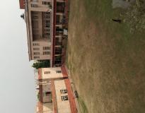 NIT Delhi Campus View(3)