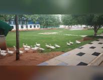 KG Reddy College Others(6)