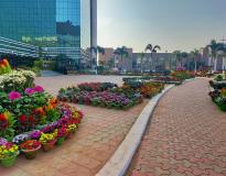 Xavier School of Rural Management Campus View(1)