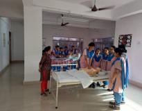 Ideal Institute of Nursing Others(14)