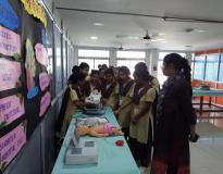 Ideal Institute of Nursing Others(15)