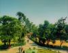 S.S.G. Pareek P.G. College Campus View