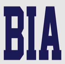 Boston Institute of Analytics Logo