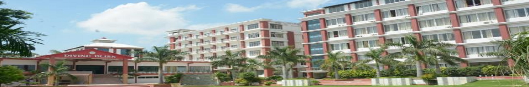 College of Innovative Management and Science