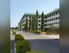 Theem College of Engineering Campus View(2)