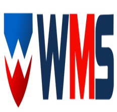 Worldwide Management Studies Logo