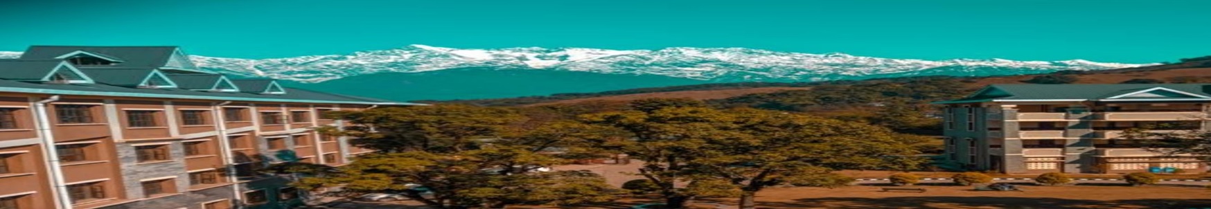 Rajiv Gandhi Government Engineering College