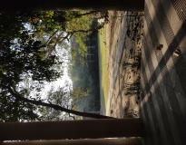 Sarvajanik College of Engineering and Technology Campus View(2)