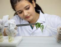CGC Landran Labs(6)